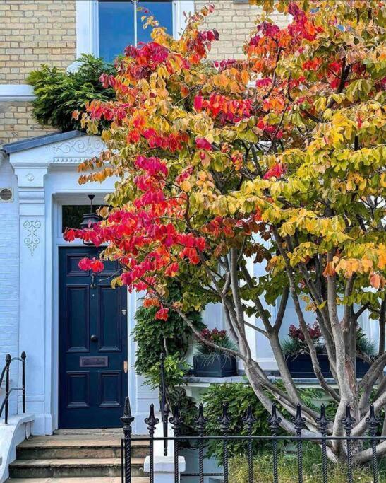 Chelsea Posh Apartment Лондон Екстериор снимка